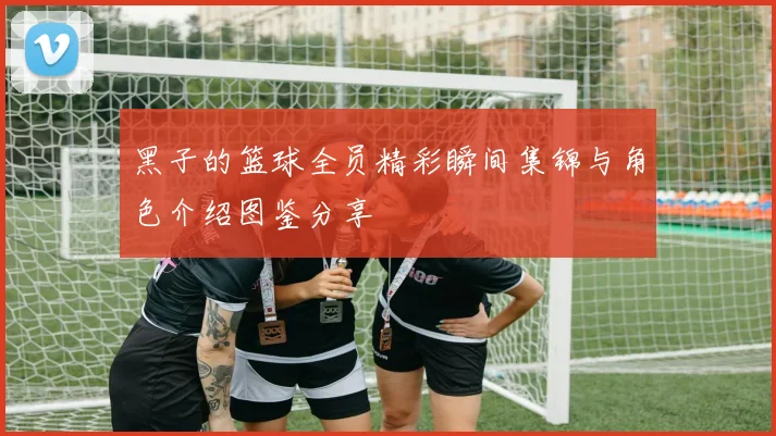 黑子的篮球全员精彩瞬间集锦与角色介绍图鉴分享